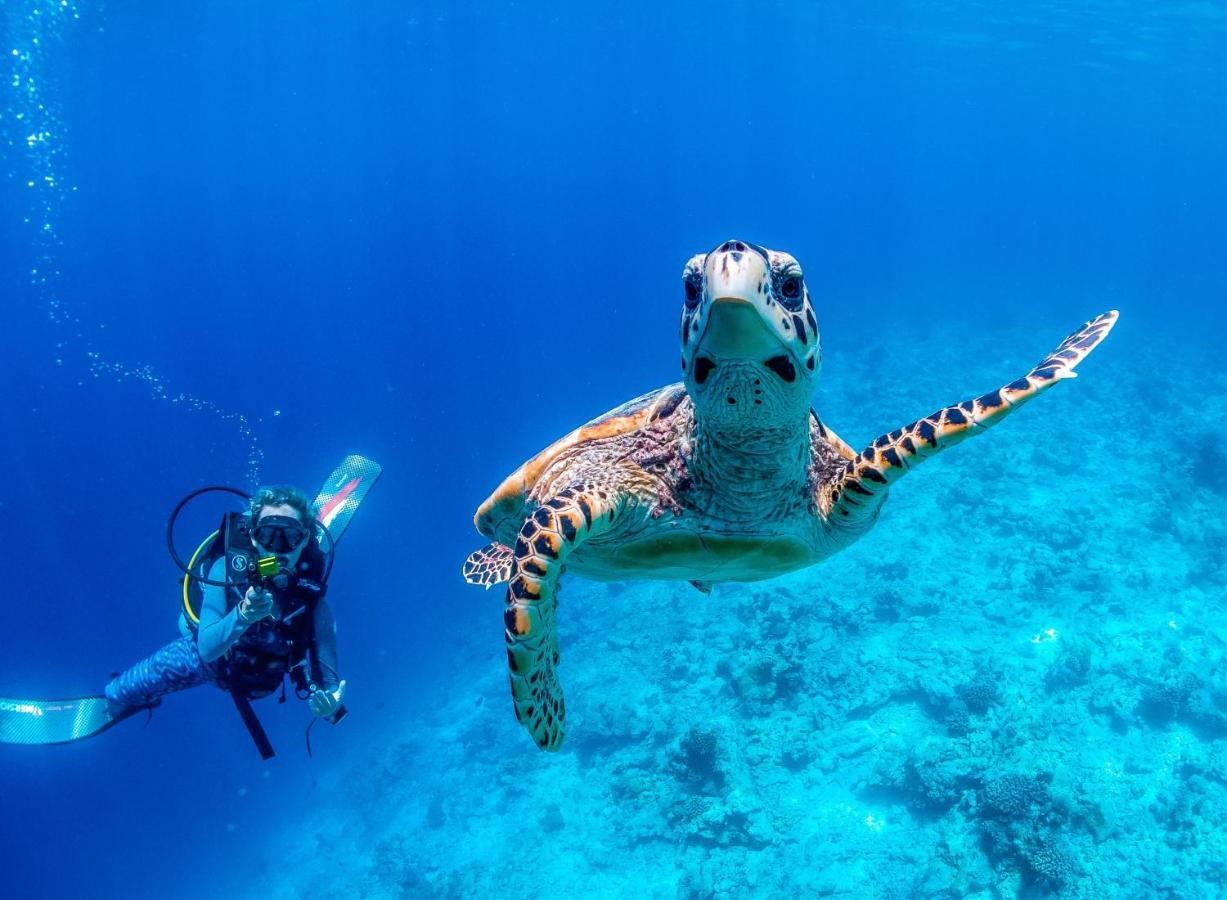 Hotel Bliss Dhigurah Dhigurah  Zewnętrze zdjęcie